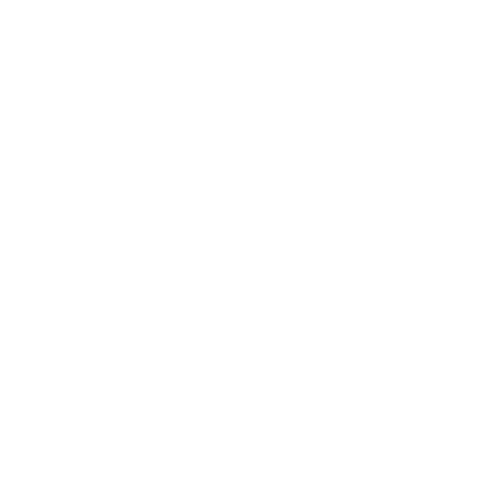 Shining Stars
